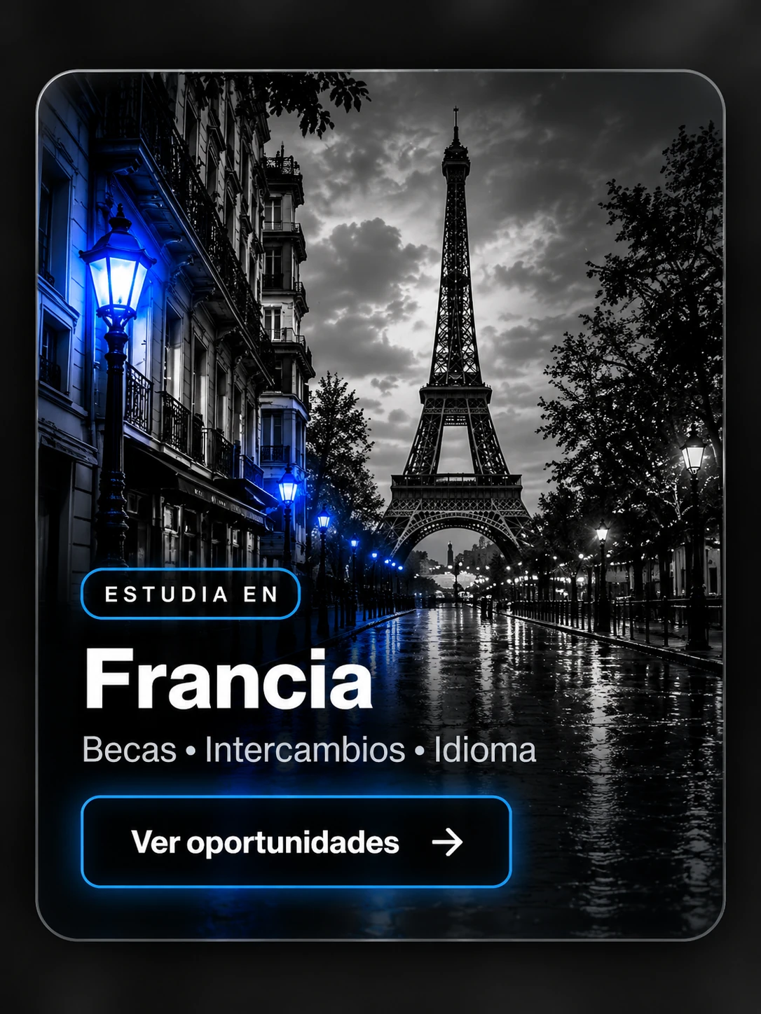 Estudia en Francia: becas, intercambios e idioma