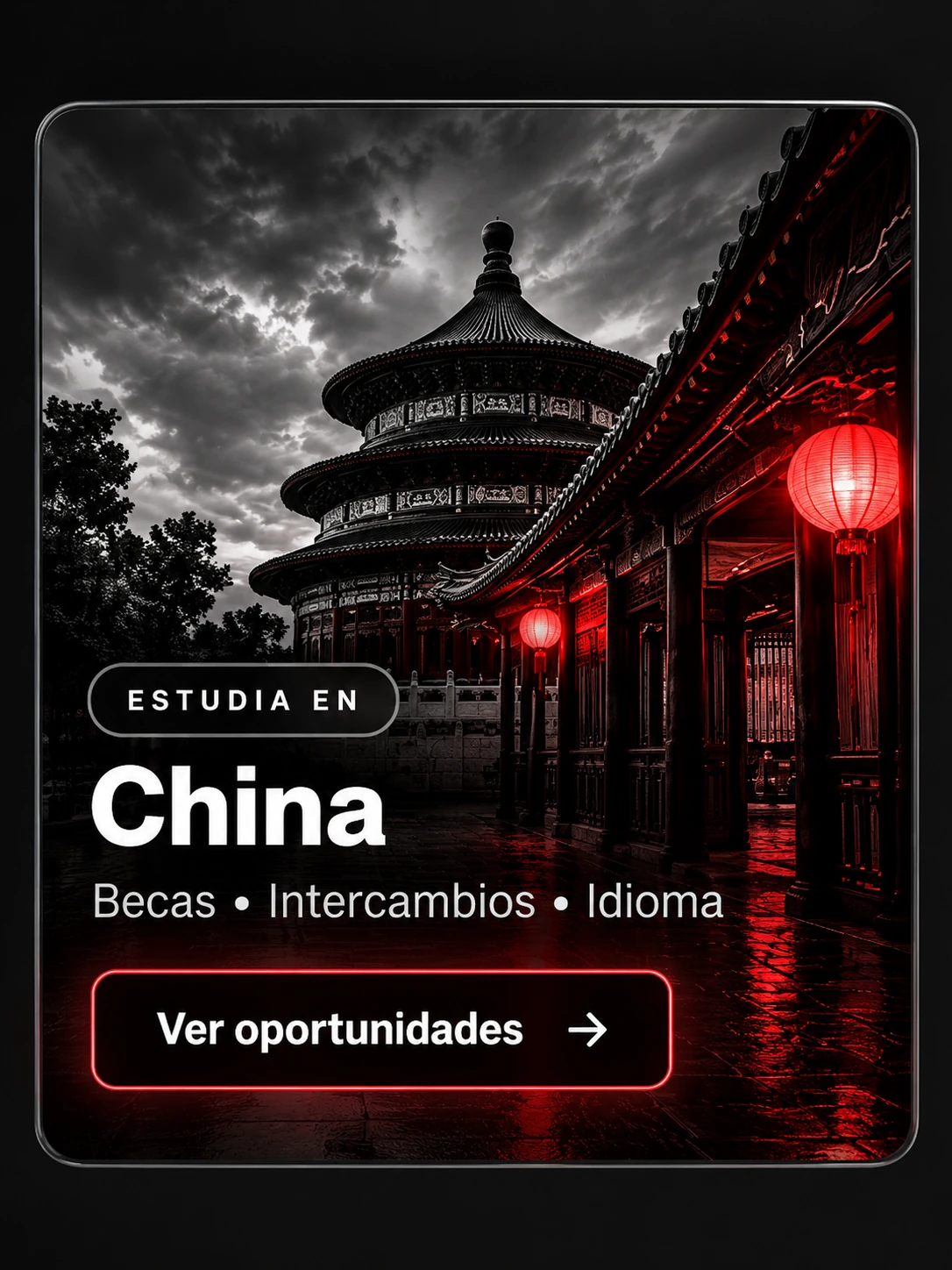 Estudia en China: becas, intercambios e idioma